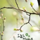 WHO 발표 - [세계 10대 불량 음식] [T] 이미지