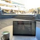 여명차이나 | [워홀] 오사카 워홀러의 새해 맞이 도쿄 여행🎈 DAY1~2 [요코하마~가마쿠라]