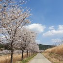 달구벌대로92길 이미지