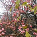 공원관리사무소 이미지