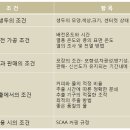 란커피 이미지