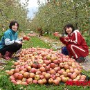 의인농장 이미지