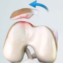 로로동물의료센터 이미지