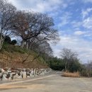전남 무안 식영정:전남여행지추천 전남혼자여행 광주근교드라이브 광주근교여행지추천 무안 가볼만한곳...