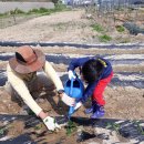 강우농장 이미지