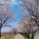 메디힐요양병원 이미지