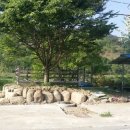 지리산건강원 이미지