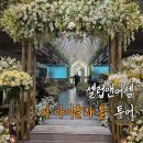 정초밥앤동해 | 셀럽앤어셈 웨딩홀 견적 공유 / 뷔페 식사 퀄리티 및 식대 주차 실제 후기