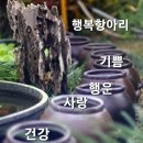 아름답다의 뜻은? 이미지