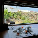 신촌 느긋 이미지