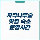 자작나무숲 가는 길 | 인제 자작나무숲 맛집 펜션 운영 시간 입장료