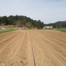 액비골(2) 이미지