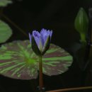 신구대학교 이미지