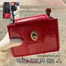 레드 | [여권가방크로스백] 데일리 미니백 홍영기 키시닝 여권백 레드 내돈내산 후기