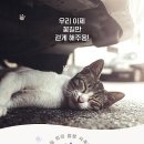 (주)미디어독립 이미지
