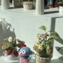 용산-270 | 신용산 용산 용리단길 타코맛집 갓잇 (후기, 대기시간, 가격, 주차)