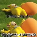 2월이 끝난줄 몰랐네