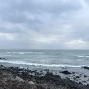 순희향채 이미지