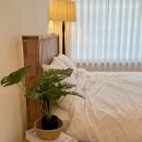 영화마을김밥 | 군산 구시장에서 드라마예정작 "괸당" 촬영 현장과 매운잡채 맛집, 시간여행마을 스테이골목집까지