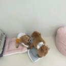 시오멍 이미지