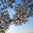 김천시선거관리위원회 | [24살, 4월] : 나는 아직도 연도와 내 나이를 24로 적는데 거부감을 느낍니다