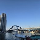 속초시청 | [속초] 2026 속초 오징어 난전 오징어회 주말 방문 리뷰, 시세 및 위치 주의사항 솔직후기