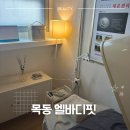 엘바디핏 이미지