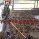 파티콩콩