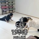 몸의집