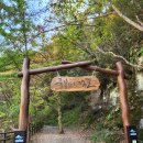 (주)빙글뱅글 | 경북 청송 주왕산 단풍 여행 후기 올려요 절정 시기 궁금하죠?