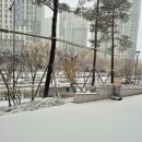 광교로공인중개사사무소 이미지