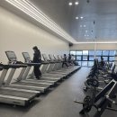 다이아짐 이미지