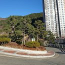 장수천 약수터 입구 | 부산 승학산 등산(2코스 가다가 내려온 후기+등산로 소개) 동주대학교출발-문화마루터-부산일과학...
