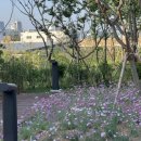 광주상무초등학교 | 아이와 함께 가기 좋은 광주 금호동 신상 공원! '마륵근린공원' 방문 후기