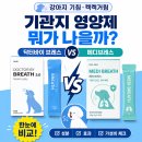 글로벌꿀벌동물병원 | 닥터바이 브레스 vs 파파메디 메디브레스 — 강아지 기침·켁켁거림 기관지 영양제 뭐가 나을까
