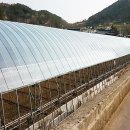 여수농장 이미지