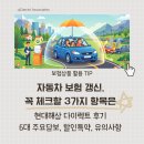 배터리다이렉트 | 자동차 보험 갱신, 꼭 체크할 3가지 항목은 (현대해상 다이렉트 후기, 주요 담보, 할인 특약, 유의사항)