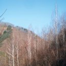 산음자연휴양림 이미지