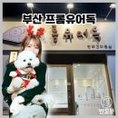 프롬유어독 이미지