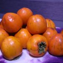 상덕농장 이미지