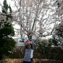 시현민박 이미지