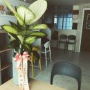 중국어(중급) | 경주 중국어회화 재능기부 후기