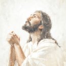 비전뜰 도서관 | 76. 선택의 빛 속에서 드러나는 자의식의 여정 The Journey of Self-Consciousness Revealed in the...