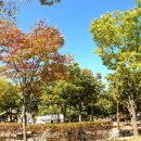 [골목]기체조 이미지