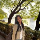 홍화연 - 전주시 완산구 풍남문2길 39 | 홍화연