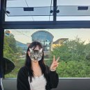 말래펜션 | 부산에서 여수 ㅣ 2박3일 여름휴가 여수 유명하다는 곳들은 일단 다 다녀와봄