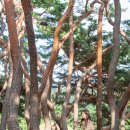 왕산상점가 | 경주 in 미디어 #경주촬영지여행 #경주드라마촬영지 #경주영화촬영지 #경주이색여행