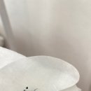 수원-1444 이미지