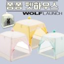폼폼애견 이미지