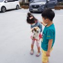 설리리조트펜션C동 이미지